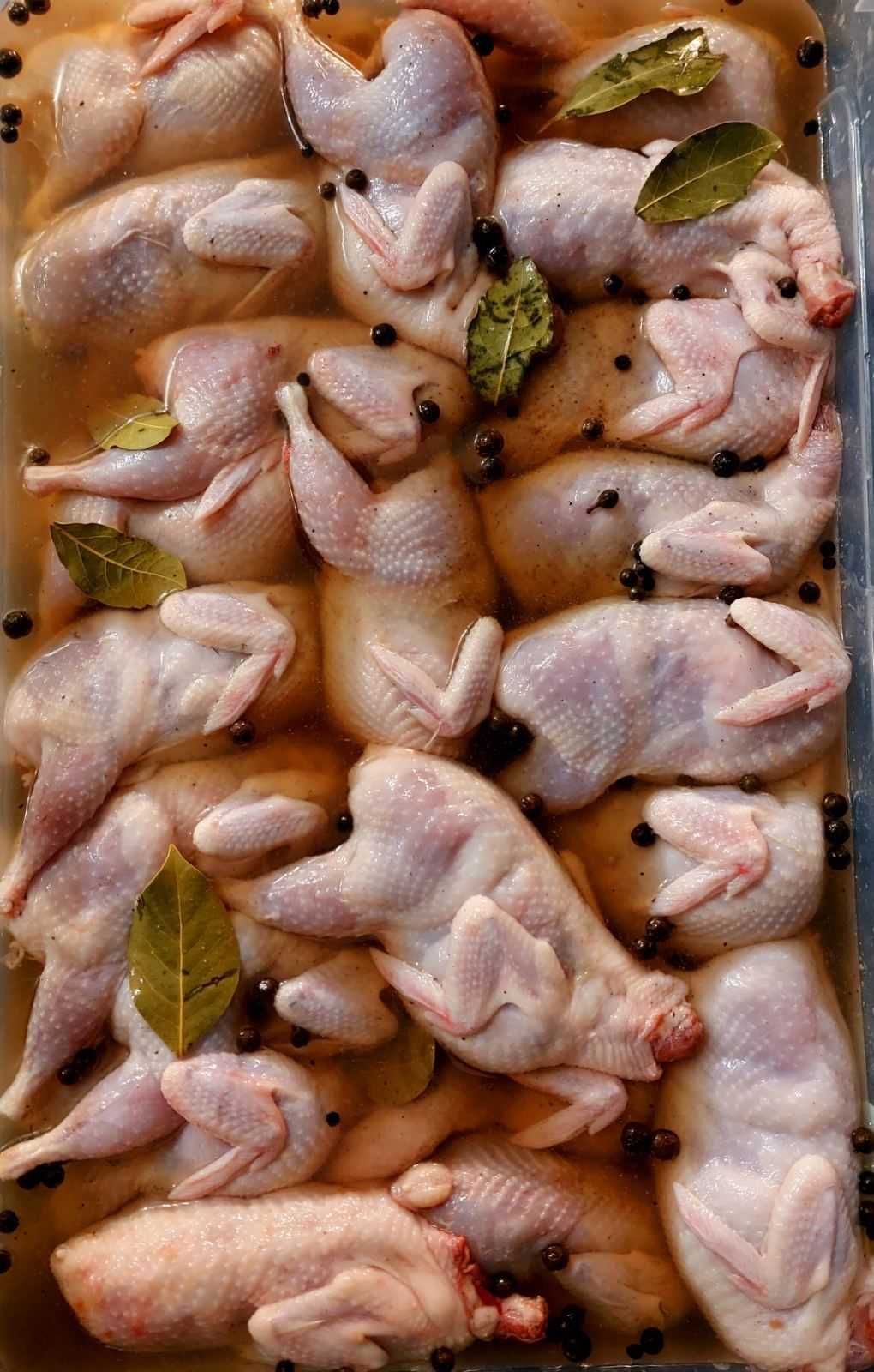 Продам копчену перепілку, вуха, язик