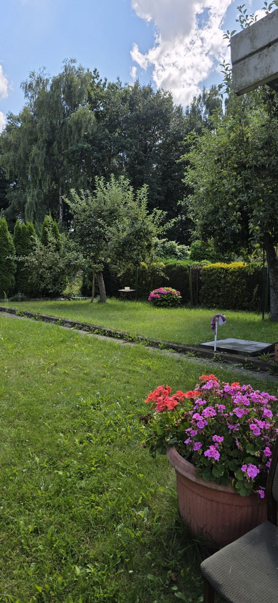 Działka ROD Ślązaczka MYSŁOWICE Brzęczkowice