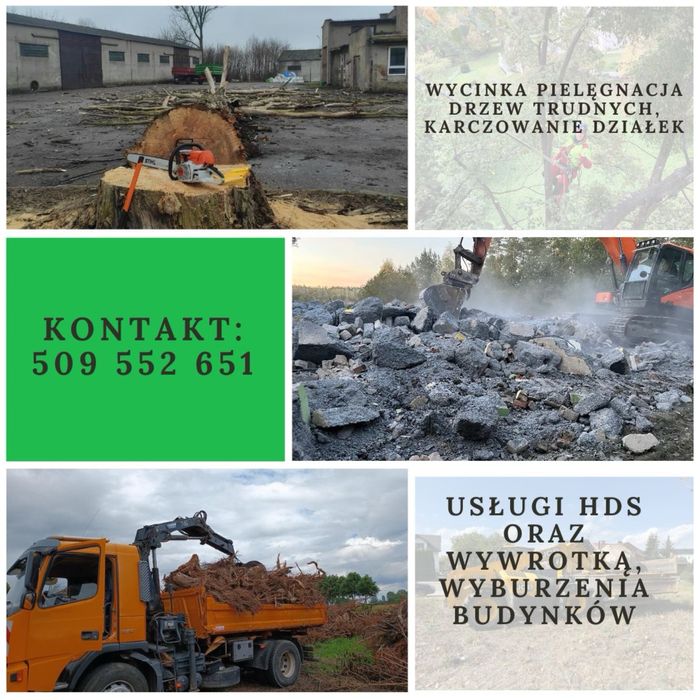 Wycinka i pielęgnacja drzew, wyburzenia budynków