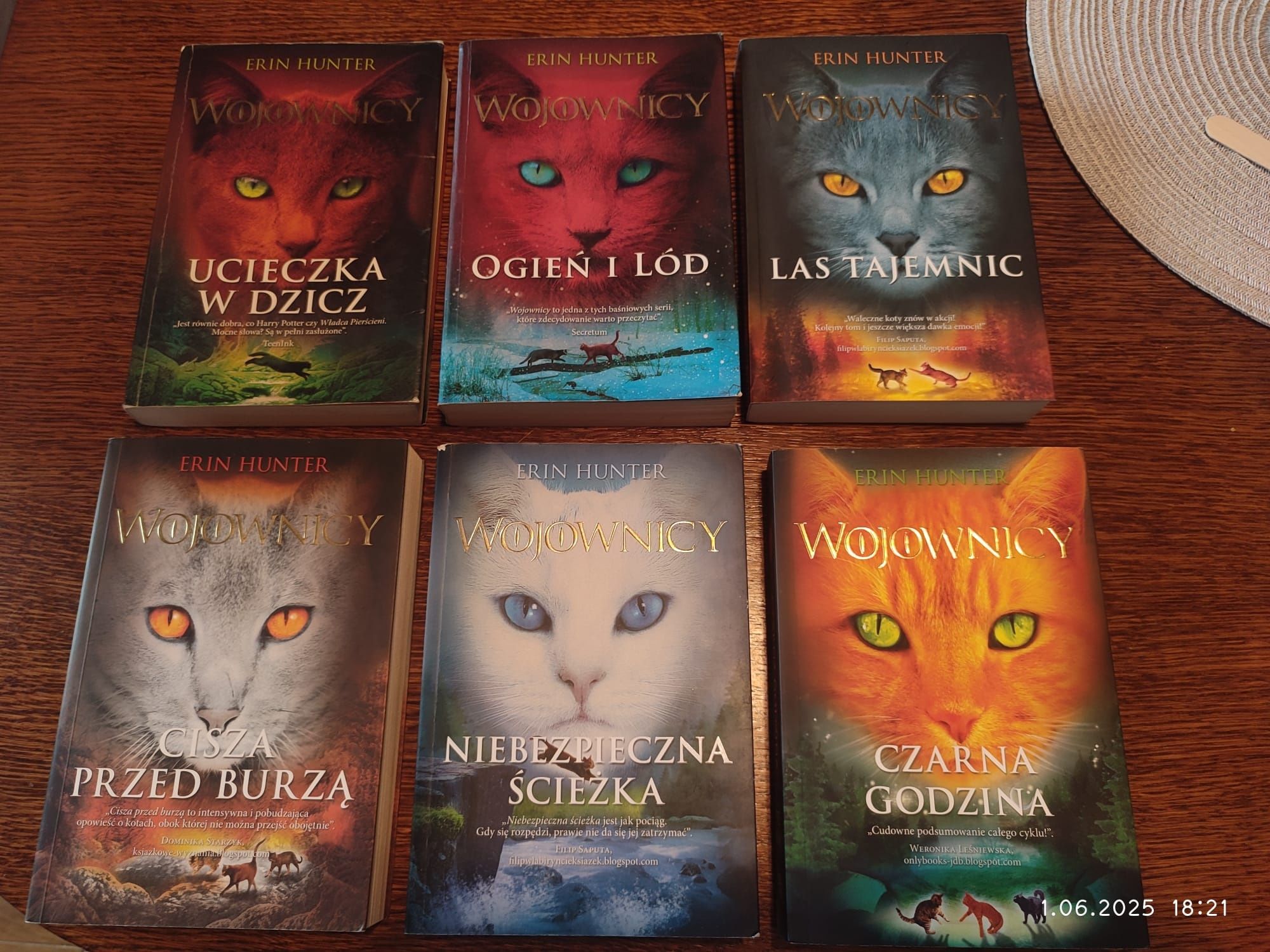 Erin Hunter Wojownicy seria 1 komplet