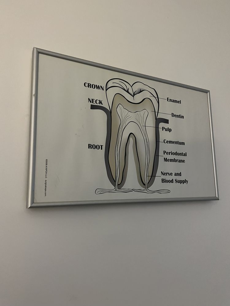 Quadros Medicina Dentária