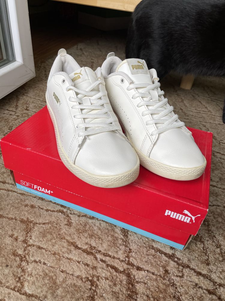 Puma Smash Wns v2 L Perf