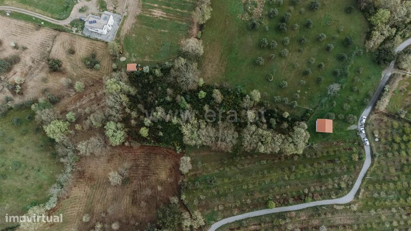Terreno / Fundão, Donas