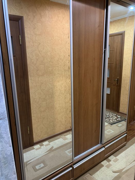 Шафа-купе у передпокій