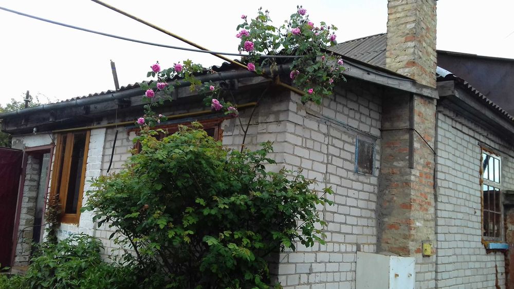 продаєм будинок із жилою літнєю кухнею
