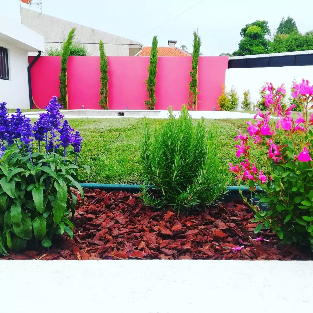 Jardineiro, serviços de jardinagem, manutenção de jardins