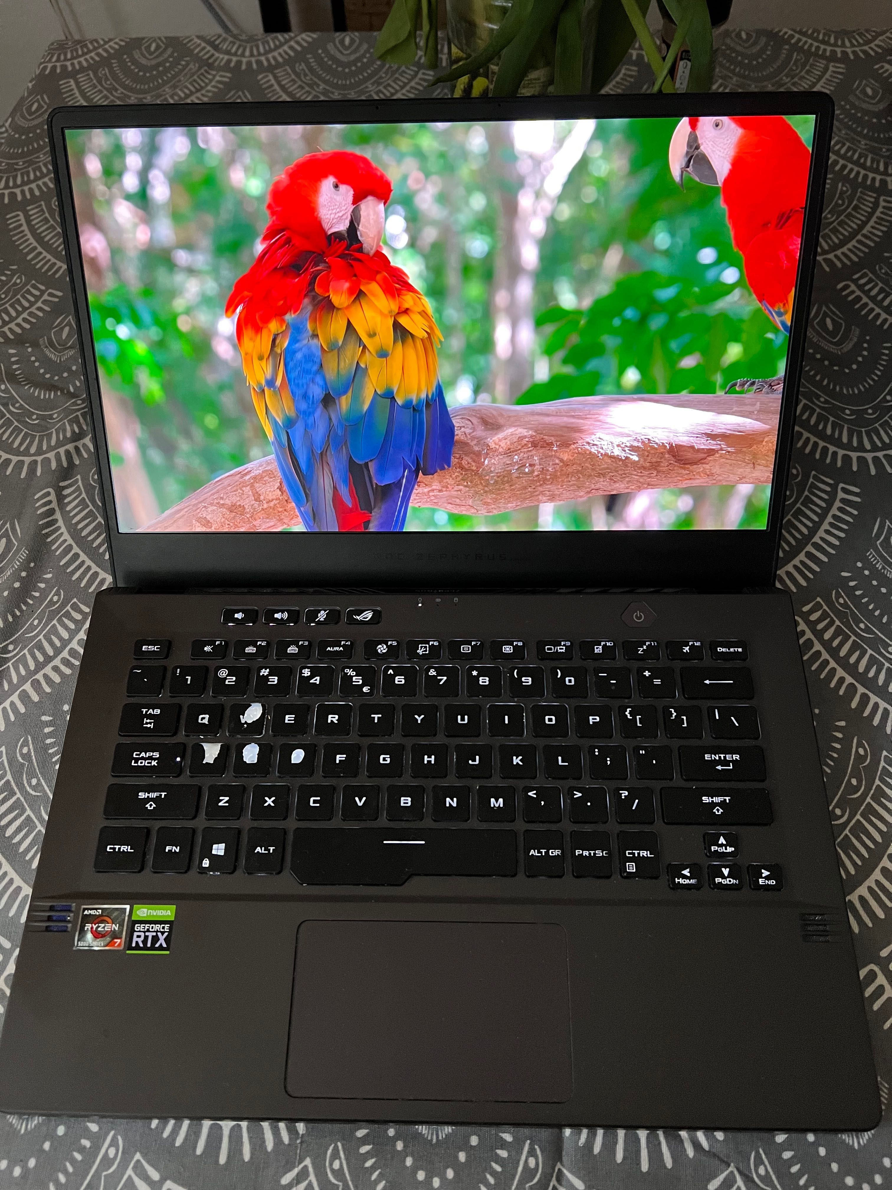 ASUS ROG Zephyrus G14 R7-5800HS/16GB/512/W10 RTX3050Ti