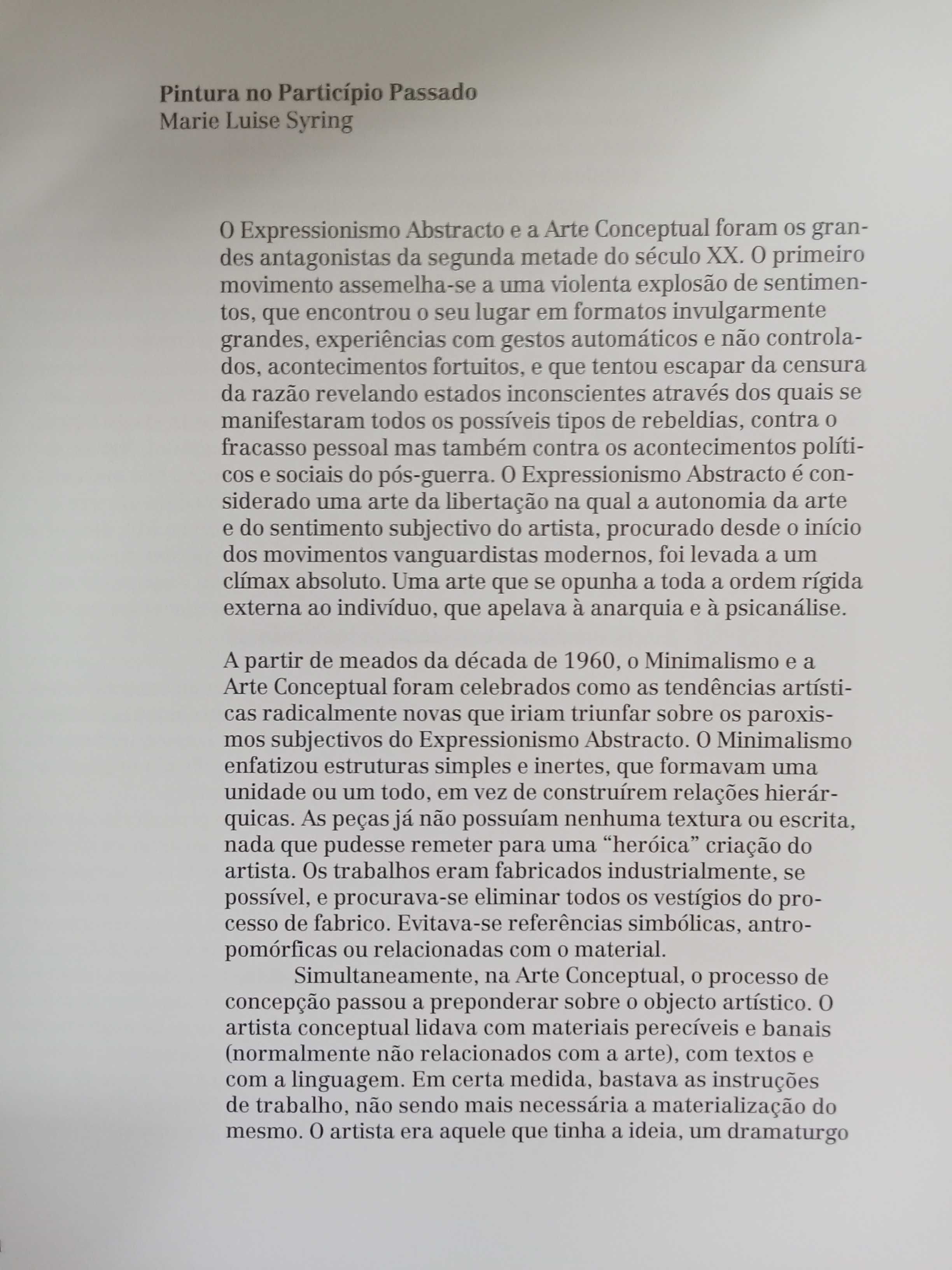 Ana Luísa Ribeiro - Quedas, mergulhos e Pinturas abstractas