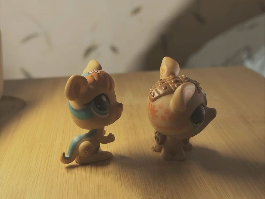 Lps/littlest pet shop/лпс postcard кенгуру #1437 та броненосець #1007