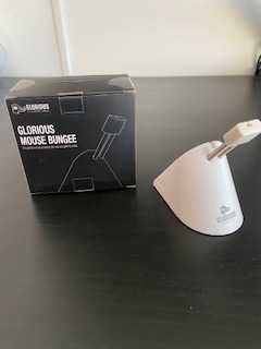 Bunge glorius para rato