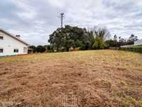 Lote - Salreu
