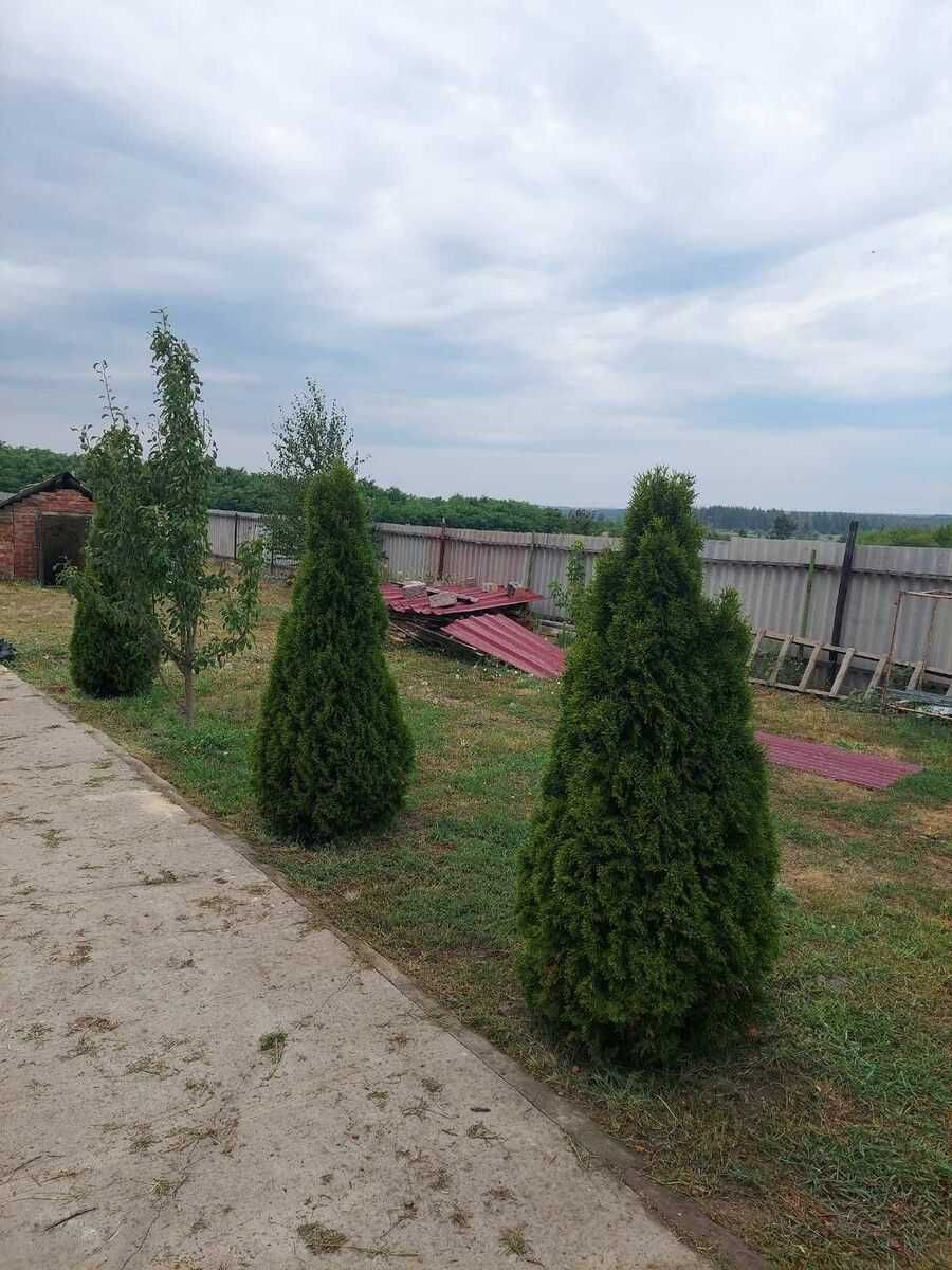 Продам Дом и участок 11га ОСГ в с.Троицкое