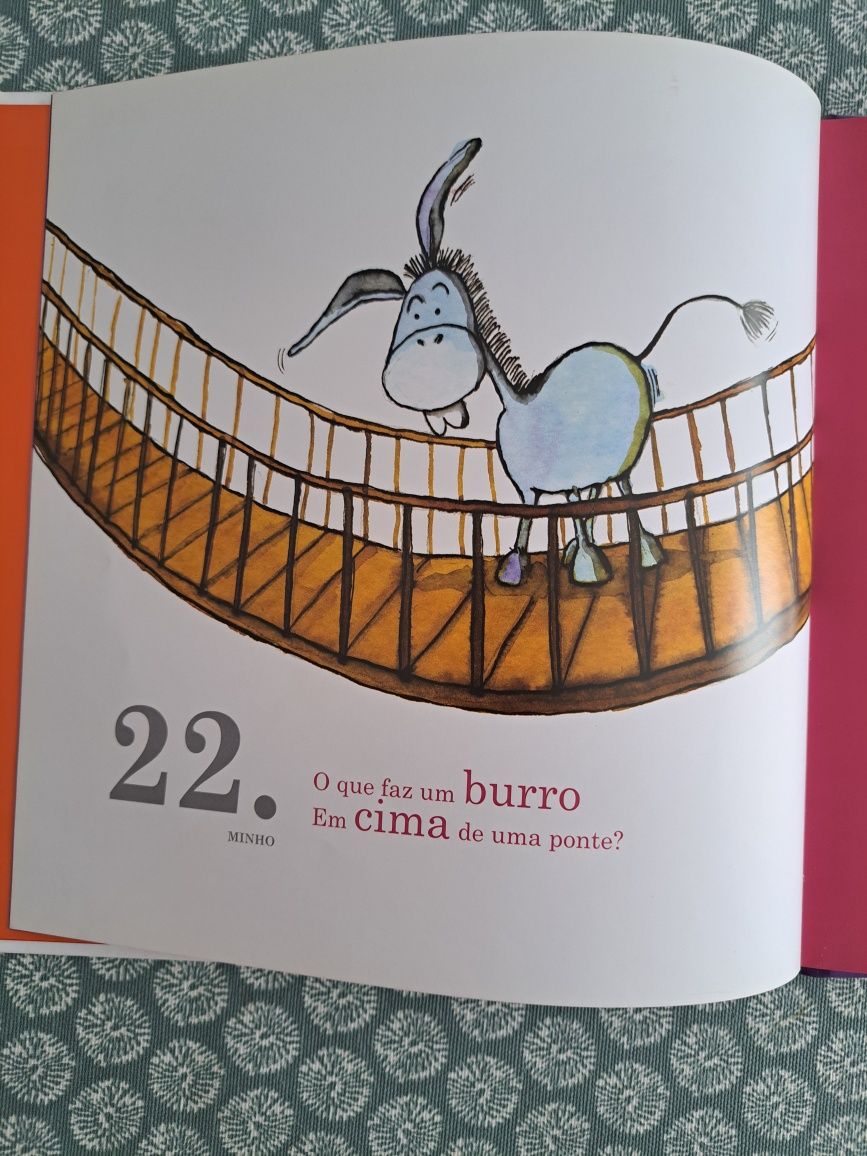 O livrinho das adivinhas
