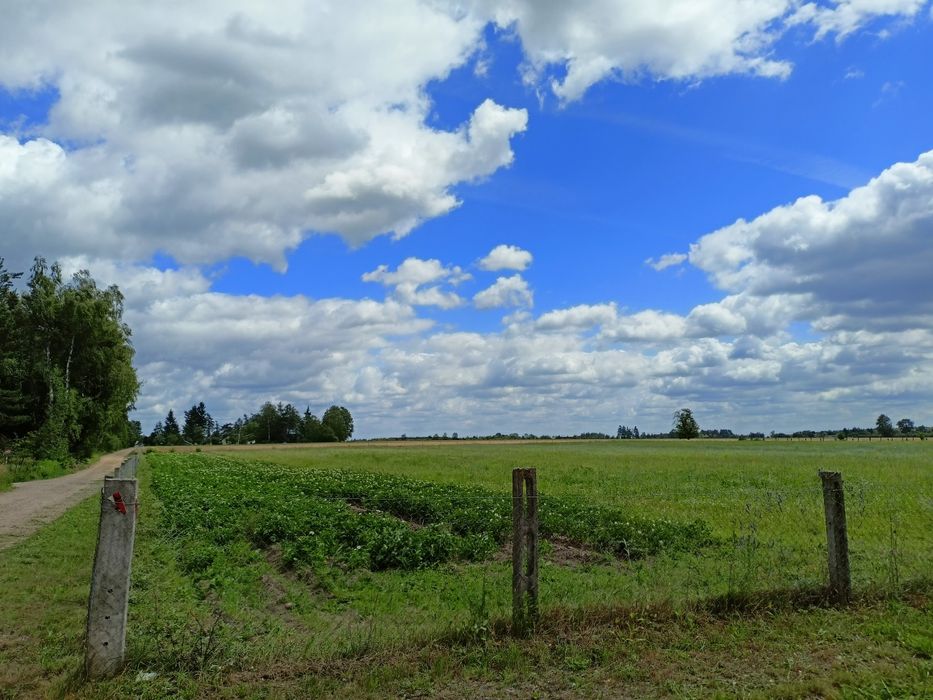 Działka z warunkami zabudowy