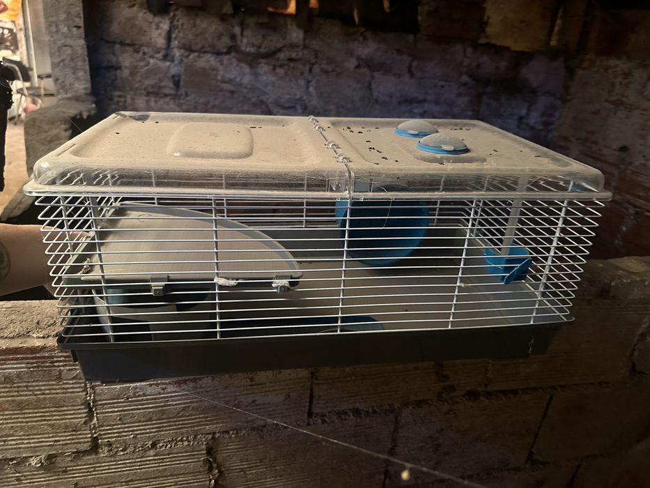 Duas gaiolas para ratos usadas