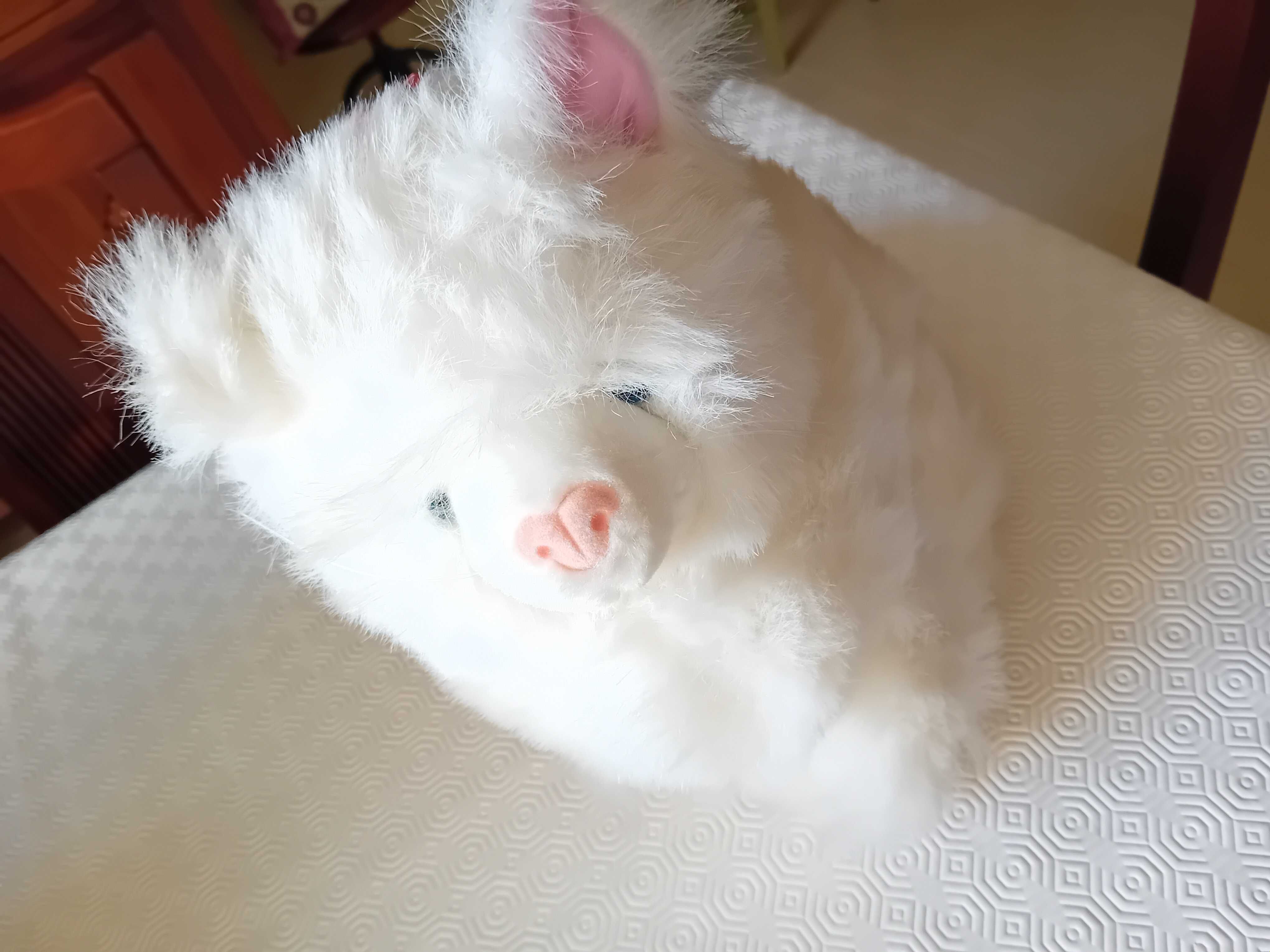 Gato de peluche branco
