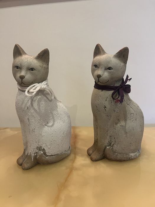 Koty kolekcjonerskie