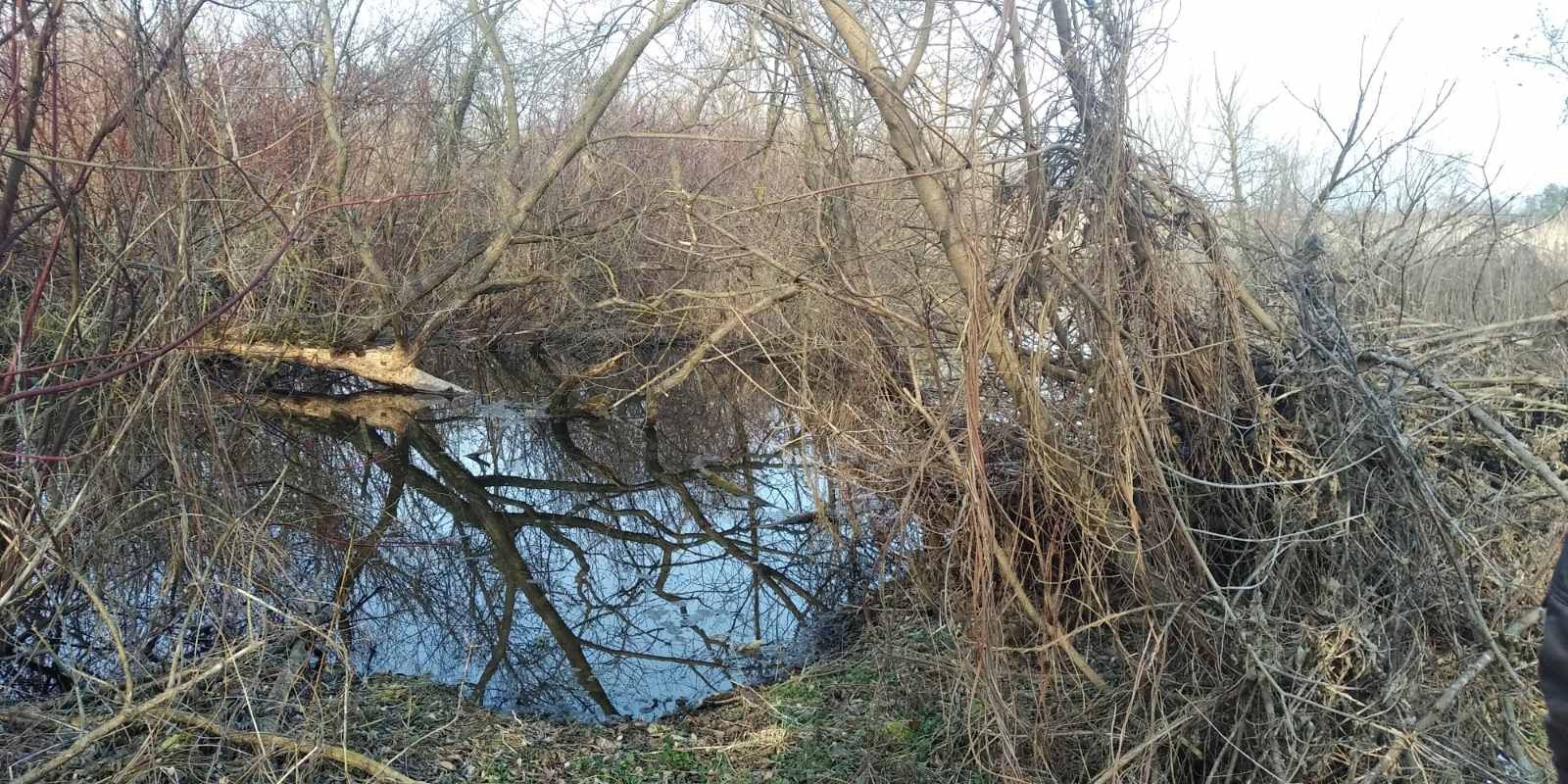 Продам будинок в с.Ільківка