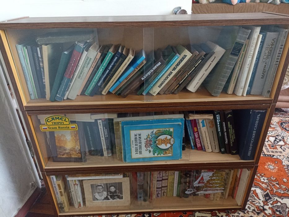 Полка книжная Чехия