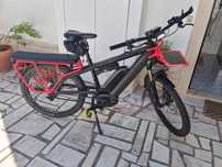 Riese & Müller Rohloff Multicharger GT HS 2022