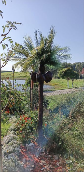 Ozdobne drzewka ogrodowe