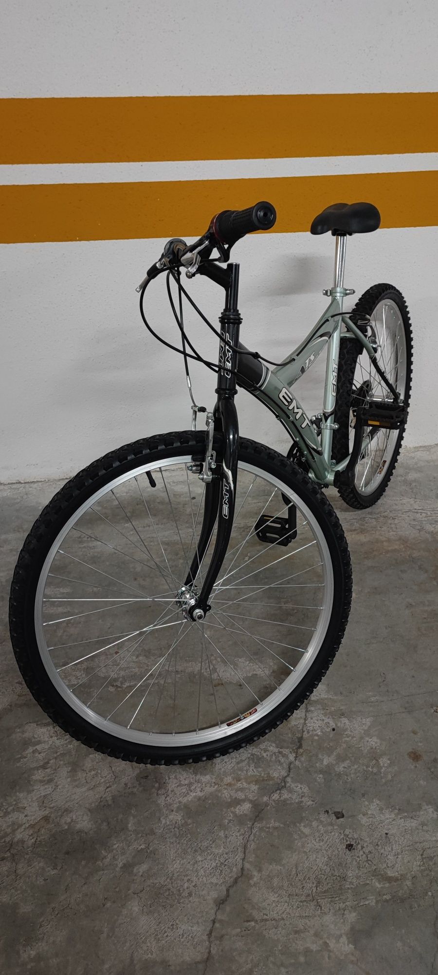 Bicicleta de montanha