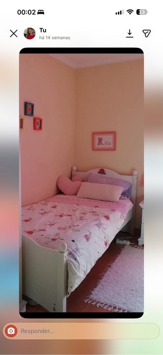 Vendo Cama+Colchão e estrutura de véu+ Cabeceira e Roupeiro