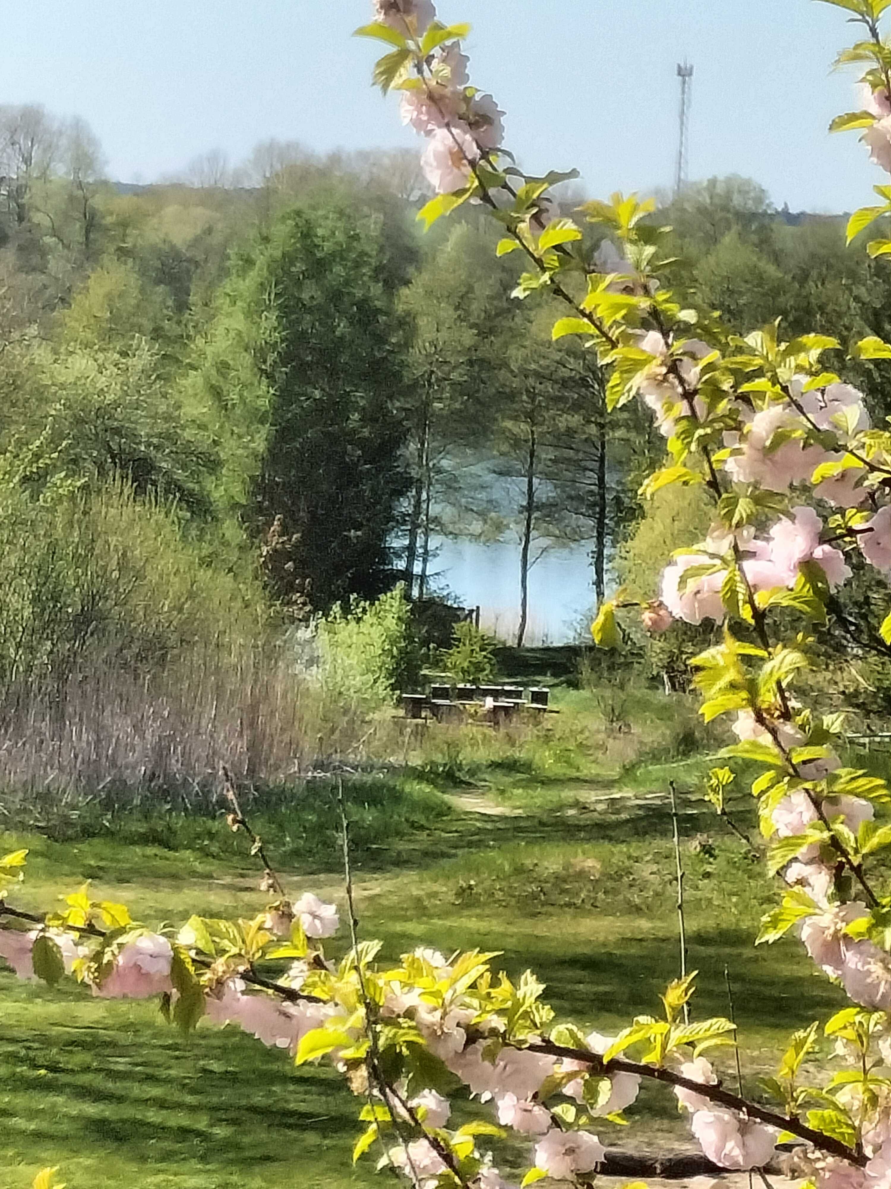 Agroturystyka - Pokoje Gościnne Nad Jeziorem Słonowice