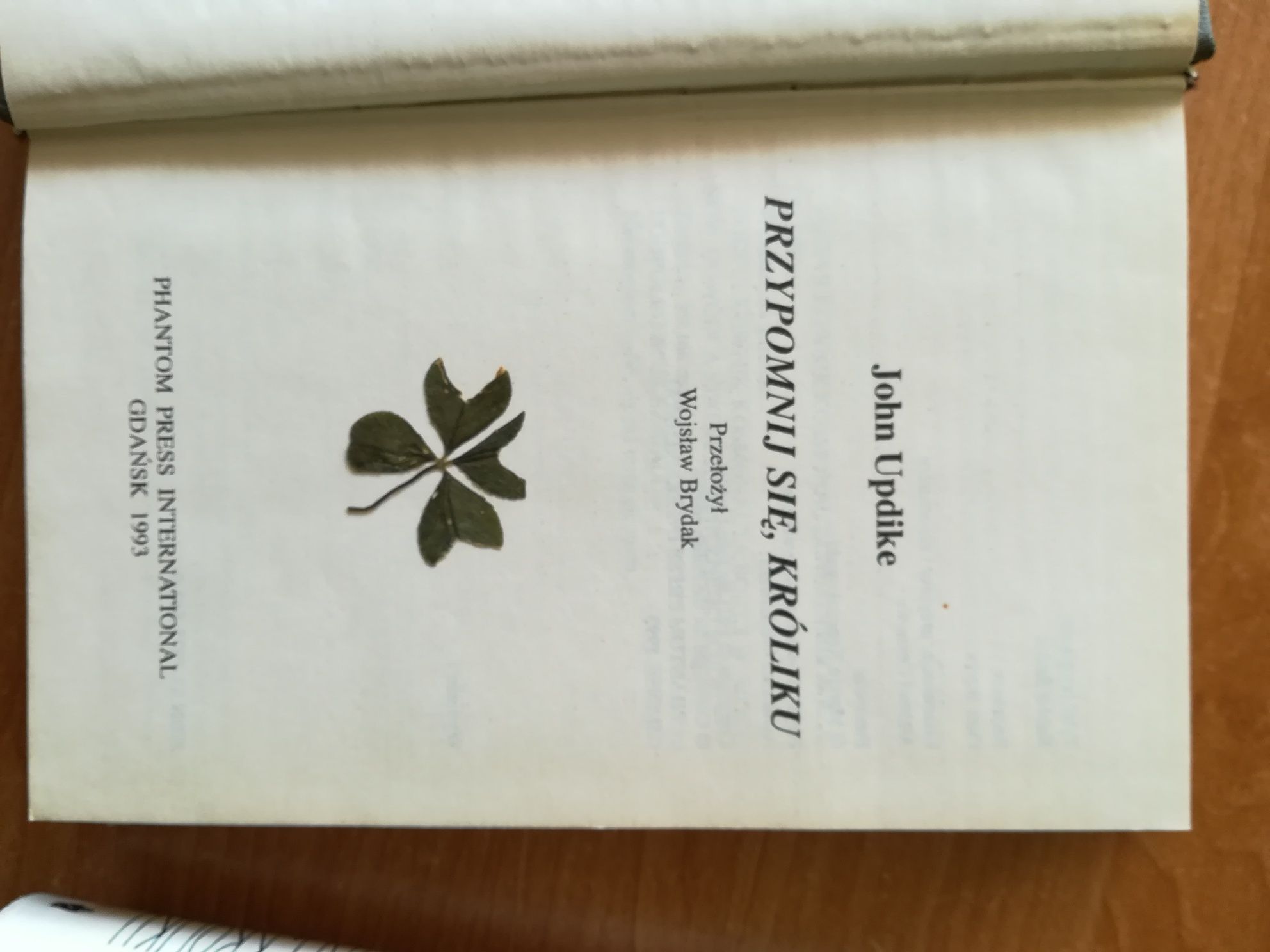 John Updike Przypomnij się króliku, Jesteś bogaty króliku
