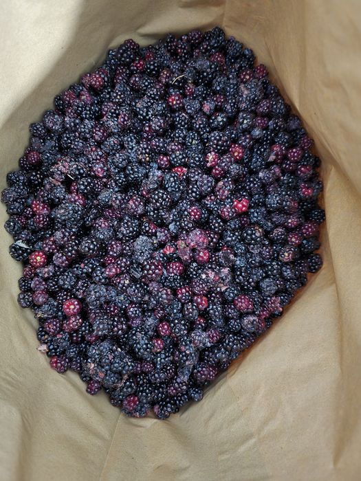 Продам ожину,малину,грис.