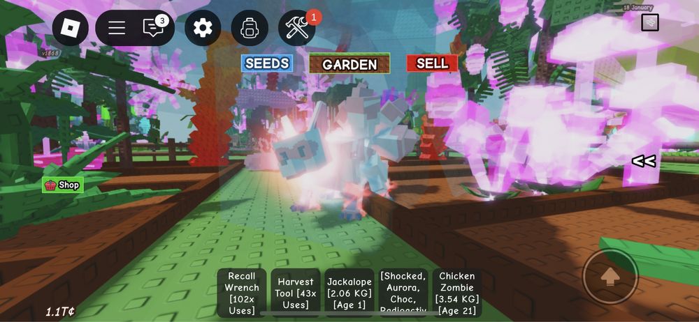 Єнот / Raccoon / Pets Grow a Garden Roblox