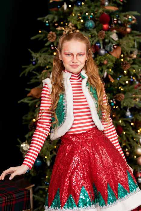 Аніматори, Санта Клаус, Привітання вдома, Ростові ляльки