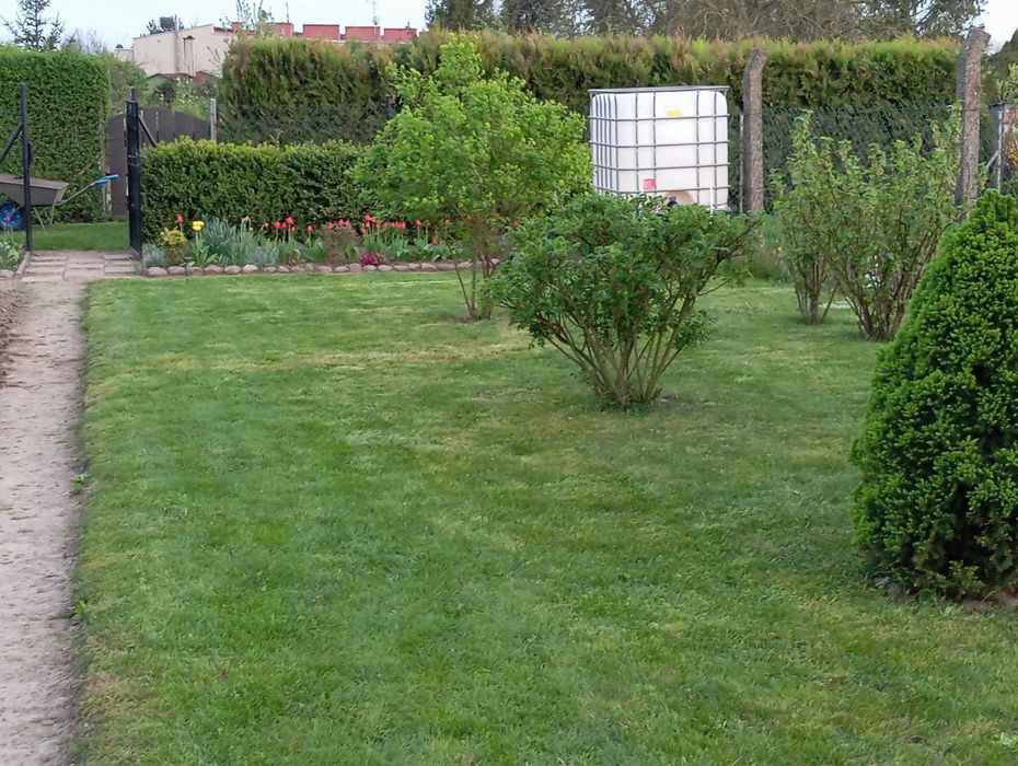 Sprzedam działkę ogrodową w miejscowości Olszewka