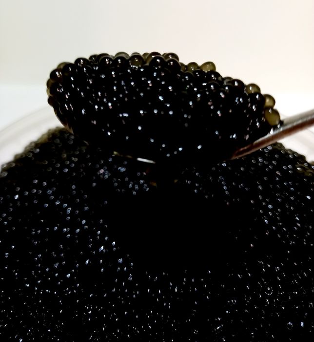 Ікра червона чорна