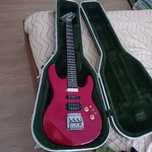 Washburn G10V Japan