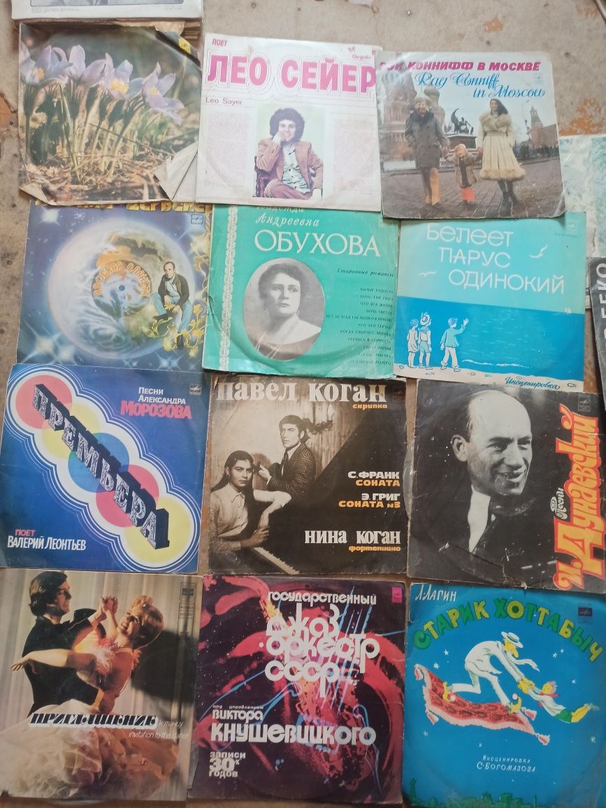 Виниловые пластинки.