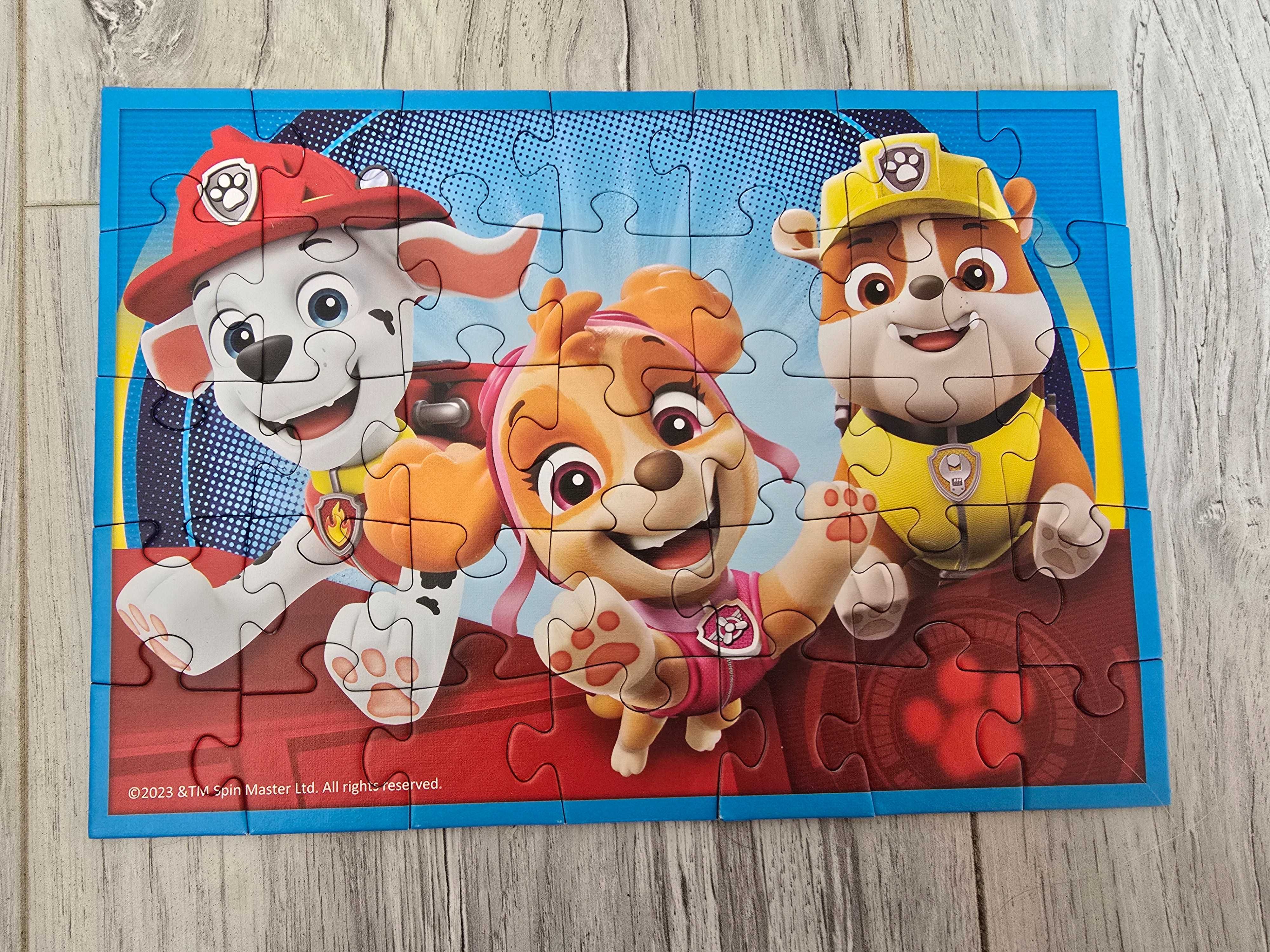 Puzzle 10w1 psi patrol