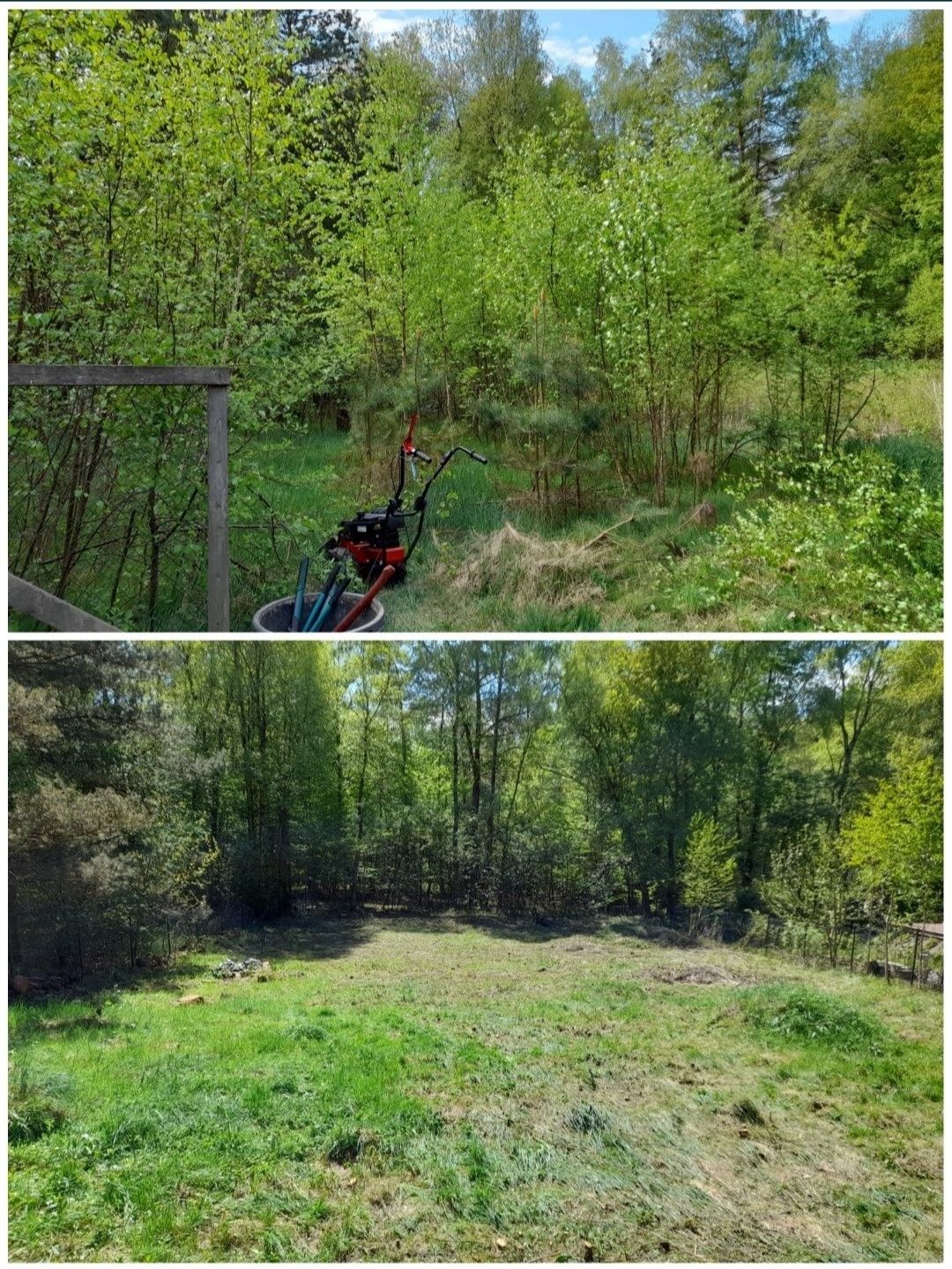 Czyszczenie ogrodów przycinanie drzew tuj zrębki koszenie traw chaszcz