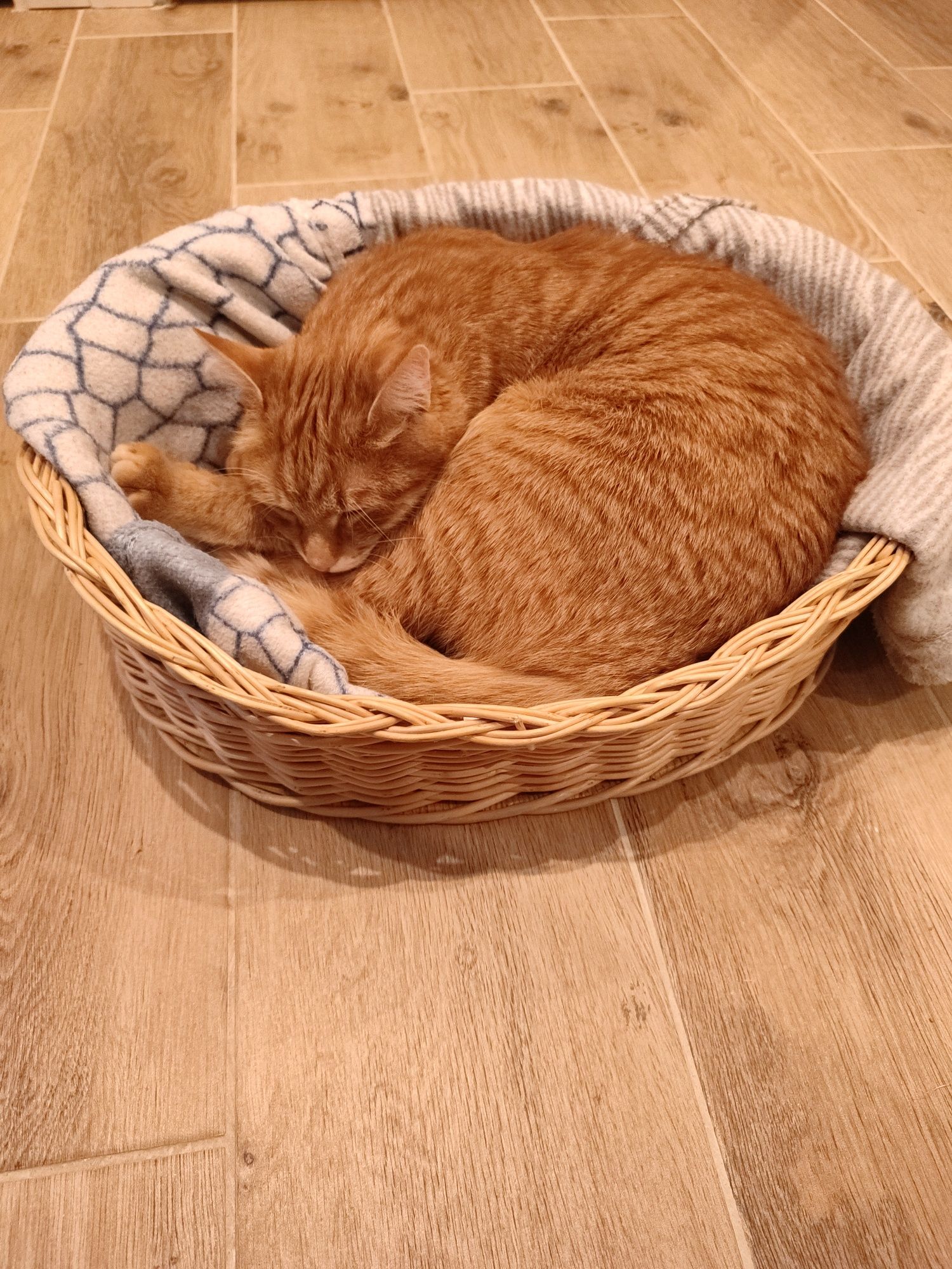 Лежак кошик плетений корзина для кота собачки з лози