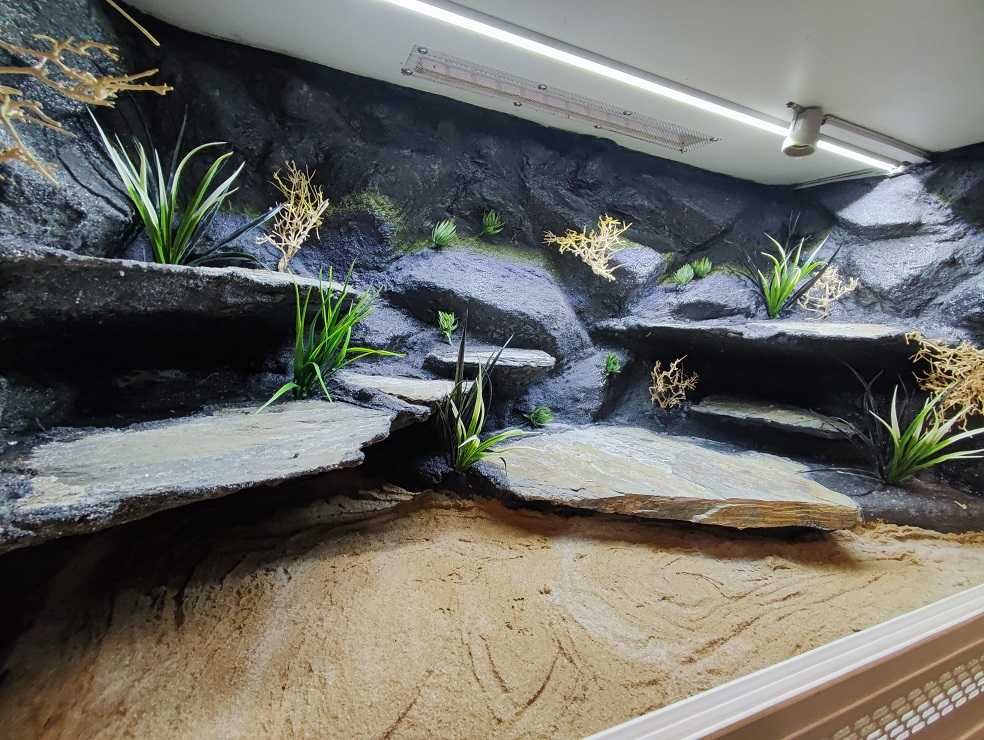 Terrarium dla agamy brodatej 120x60x60 Petmarket