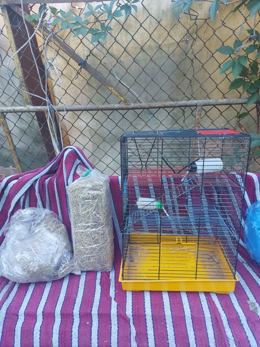 duża klatka trzy piętrowa dla gryzoni