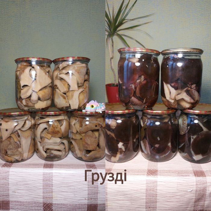 Гриби в асортименті мар. 2025 року