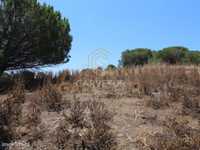 Terreno rústico, em zona agrícola, Albufeira, Algarve.