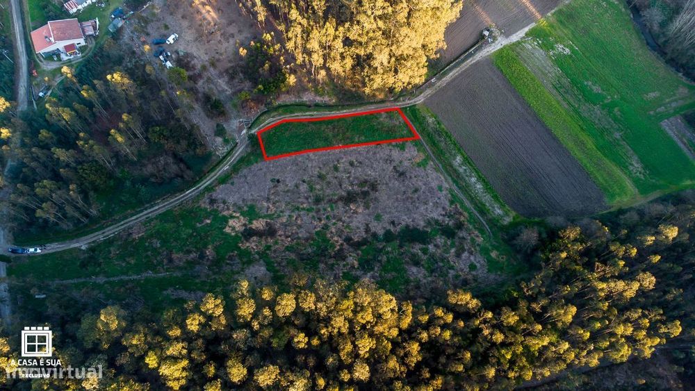 Terreno rústico em São João de Ovar - Exclusivo