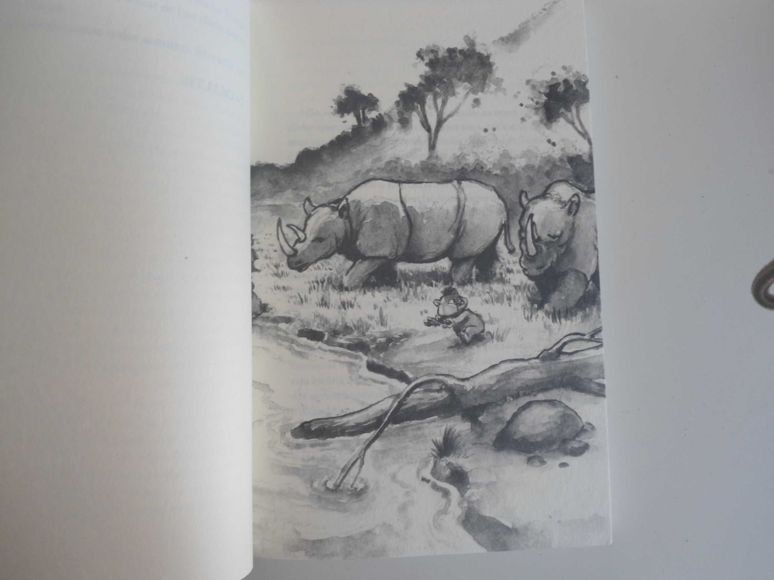 A Montanha da Água Lilás por Pepetela