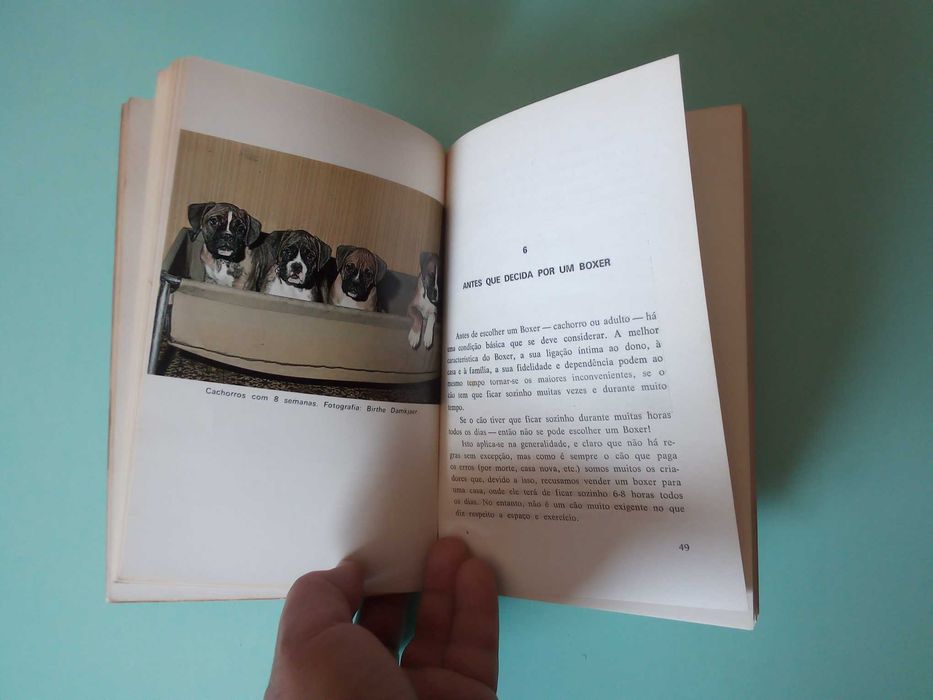 Livro "O Boxer", de Anni Mortensen