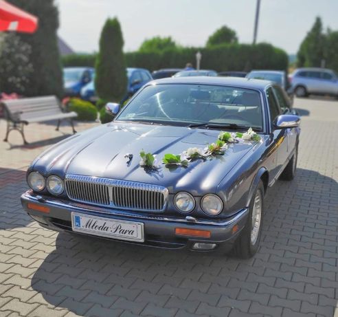 Jaguar Daimler XJ6 auto/ samochód/klasyk do ślubu,wesela, imprezy
