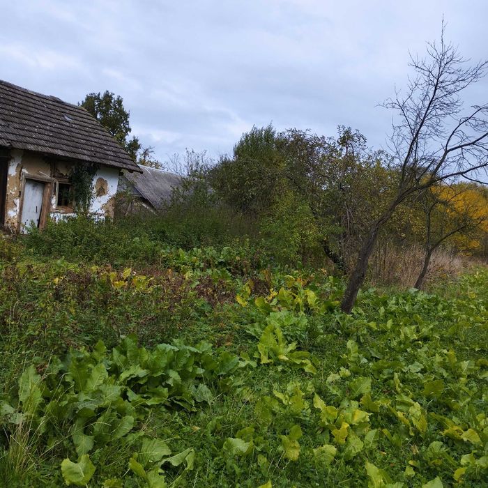 Гарне місце для забудови