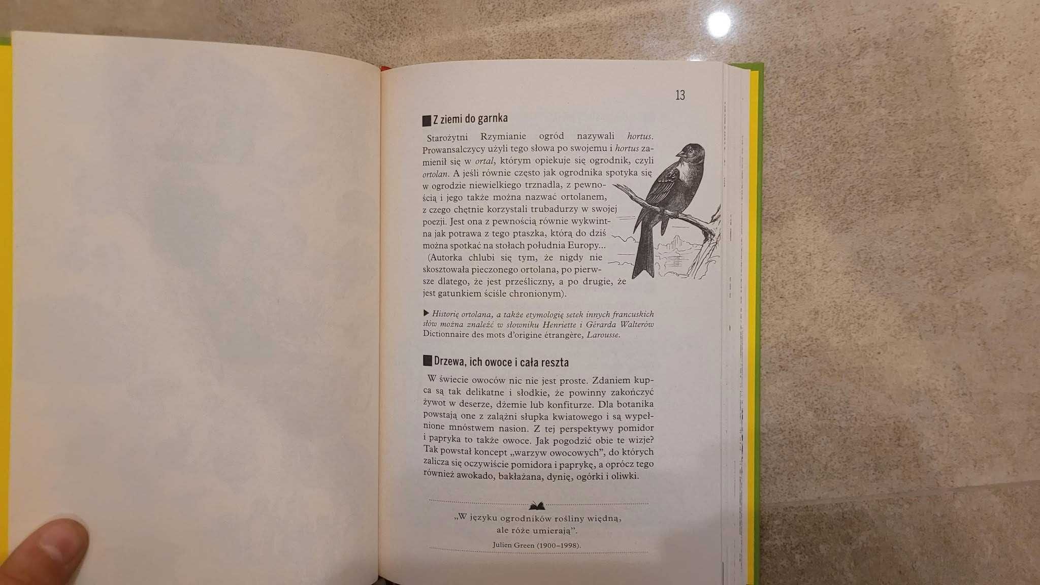 Sekrety ogrodu - książka dla dzieci