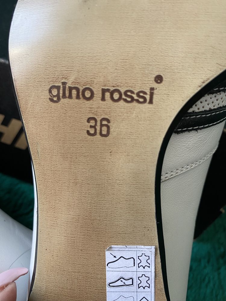 Gino Rosi buty damskie